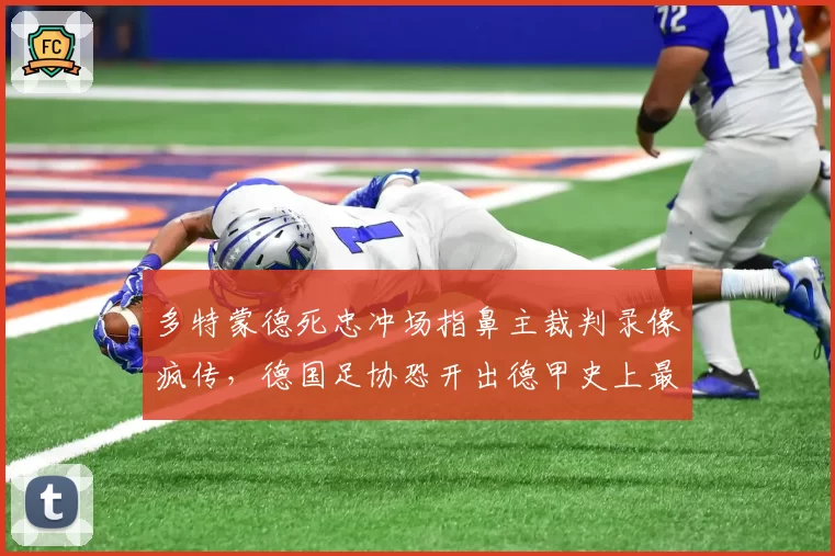 多特蒙德死忠冲场指鼻主裁判录像疯传，德国足协恐开出德甲史上最重罚单