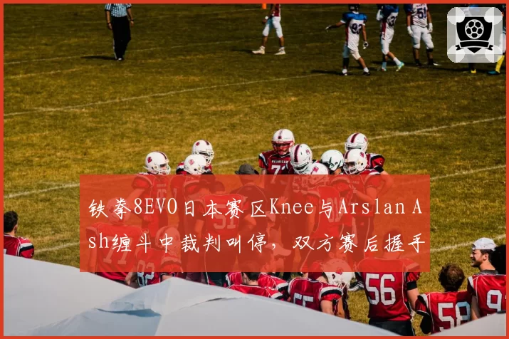 铁拳8EVO日本赛区Knee与Arslan Ash缠斗中裁判叫停，双方赛后握手态度反差引热议