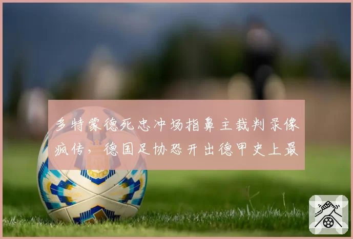 多特蒙德死忠冲场指鼻主裁判录像疯传，德国足协恐开出德甲史上最重罚单