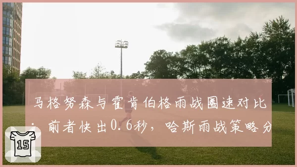 马格努森与霍肯伯格雨战圈速对比：前者快出0.6秒，哈斯雨战策略分化